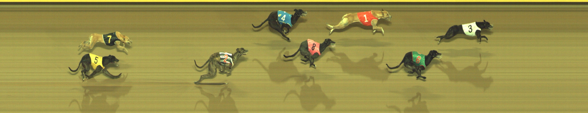 Race result finish photo